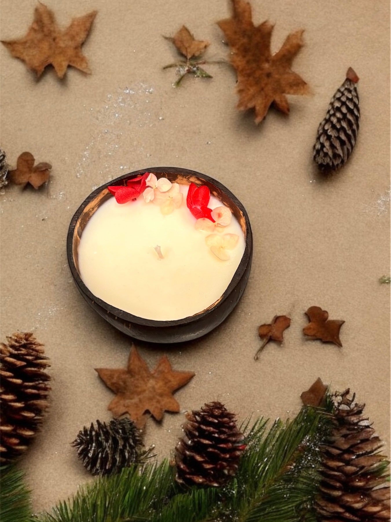 VANILLA Scented Coco shell soy wax candle!