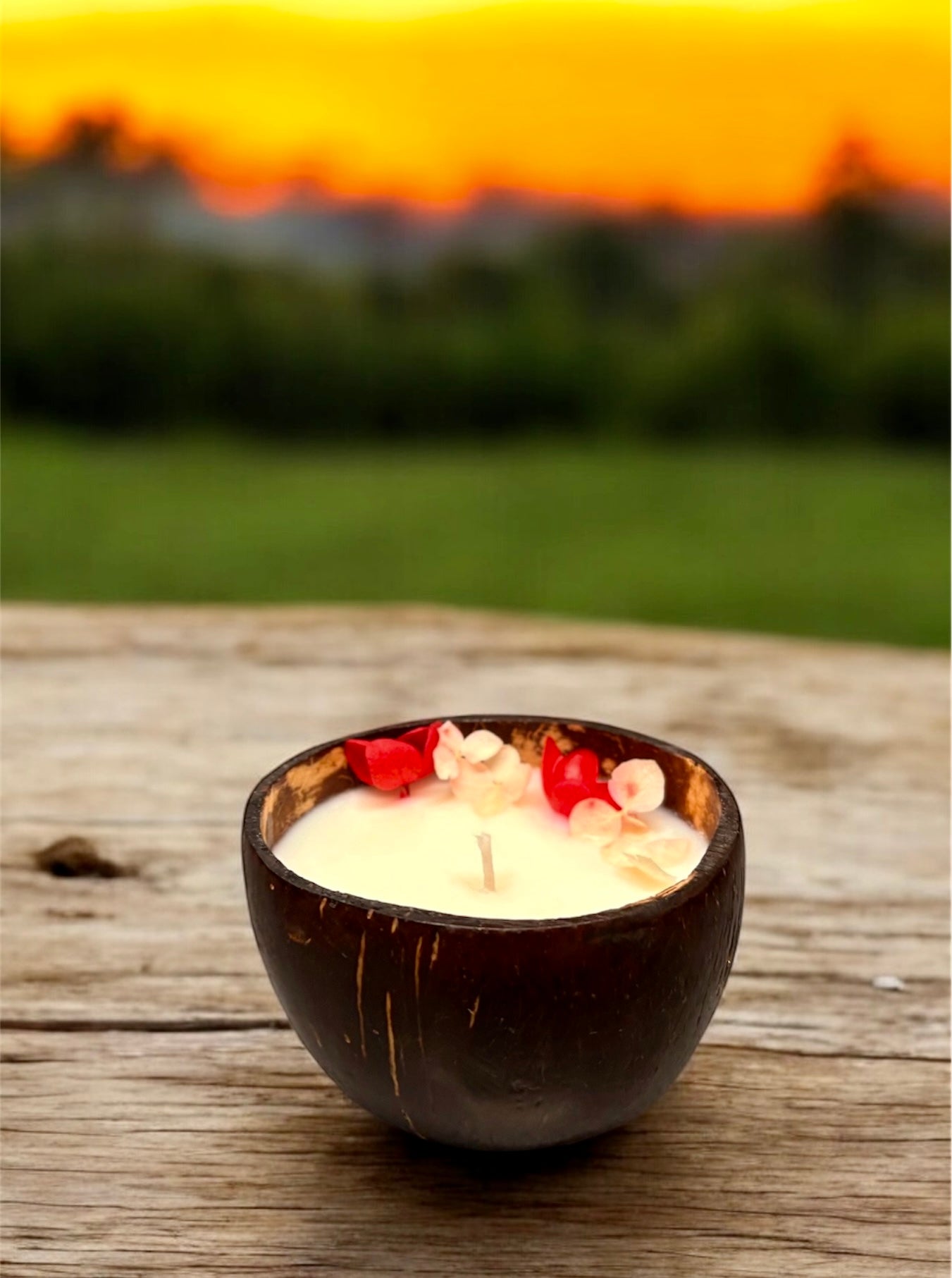 VANILLA Scented Coco shell soy wax candle!