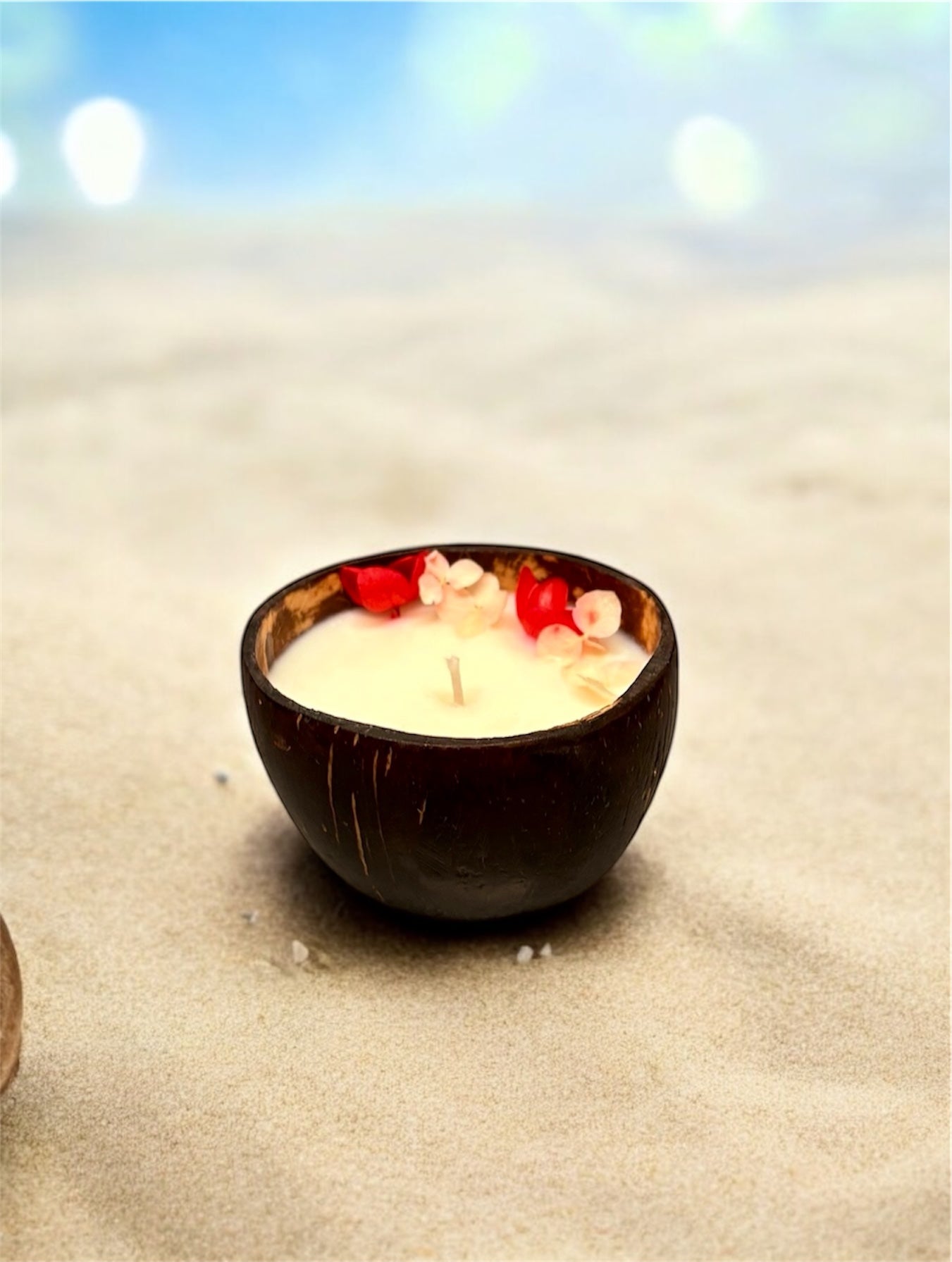 VANILLA Scented Coco shell soy wax candle!
