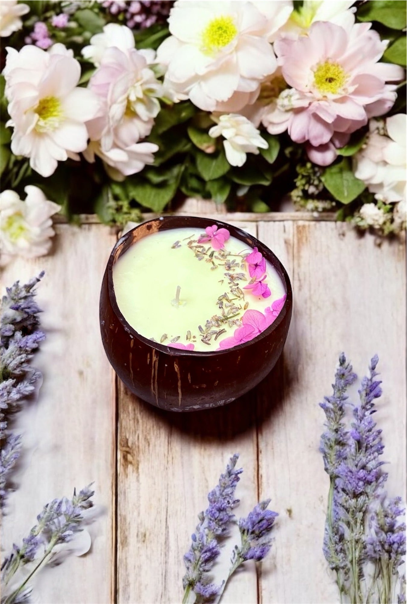 LAVENDER Scented Coco shell soy wax candle! CHRISTMAS SPECIALS!